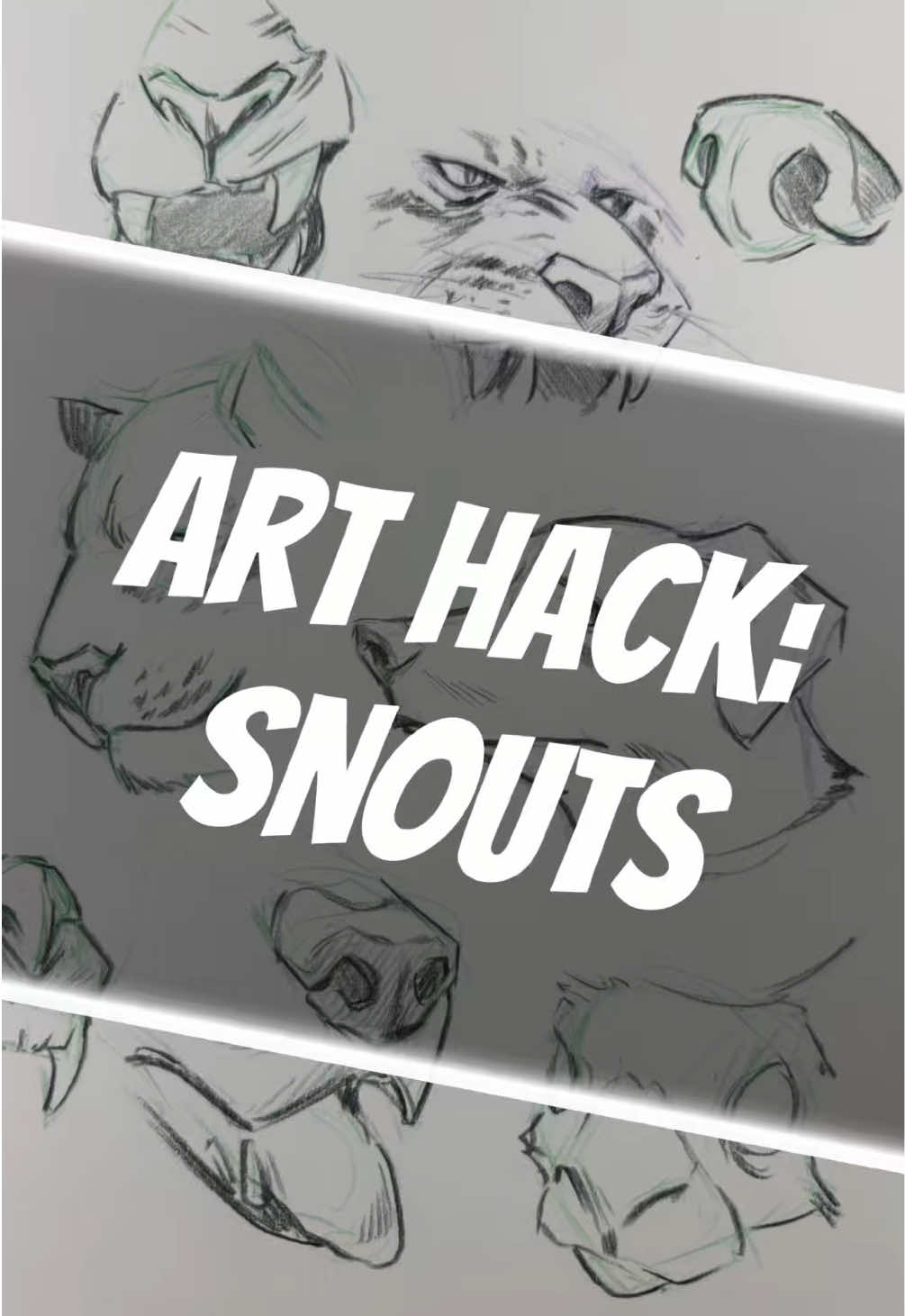 Something that always threw me off about animals when I was young was how to draw snouts. Well, I’ve had a lot of practice since then, and really they are a lot simpler than you’d think. Let’s get into it! #arthack #snout #animal #muzzle #drawing 