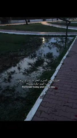 #foryou #شاشة_سوداء #بدون_هشتاق #ek #goodvibes 