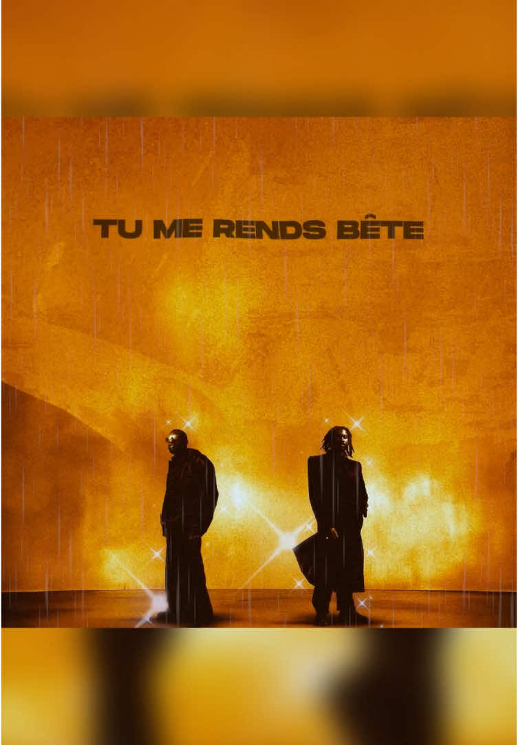 GIMS • DAMSO - TU ME RENDS BÊTE (couplet de Damso) #gims #damso #couplet #paroles #lyrics #foryou #france #belgique 