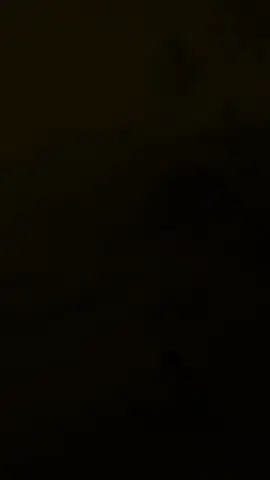 #CapCut 