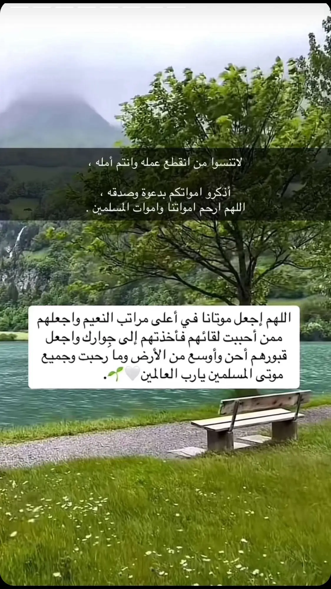 أذكرو امواتكم بدعوة وصدقة ، #يوم_الجمعة #fyp 