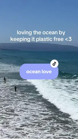 real environmentalists over here #oceanlife #Summer #plasticfree #skincare #fypp 