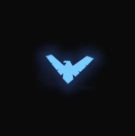 #NIGHTWING — fighting everyone and their mother for mcr london tickets tmmr @Itchie toesniffer #edit #dccomics #richardgrayson 