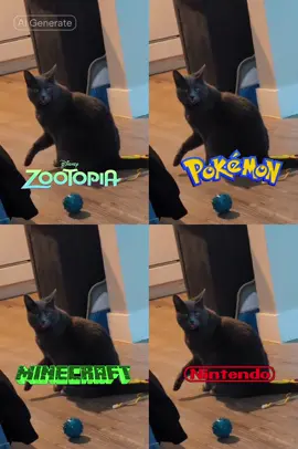 derpy boi in different verses  #smokesplace #cat #MyLIVEMyStory #fyp #kitty 