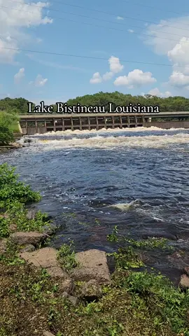 Rum off from the dam in lake bistineau. #fyp #foryoupage #louisiana #lake #beautiful 