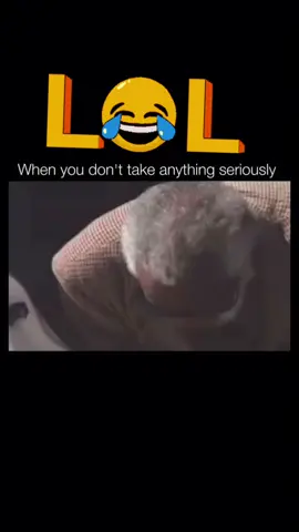 #lol #police #arrested #fy #funnyvideos 