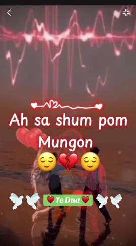 #shqiptaretneperbote🇦🇱🌍 #viralvideos #albania #pageforyou #foruyou 