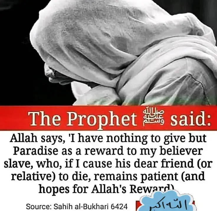 #mynabii #SAW #alhamdulillahforislam #Quranaguideformankind #islamtotheworld 