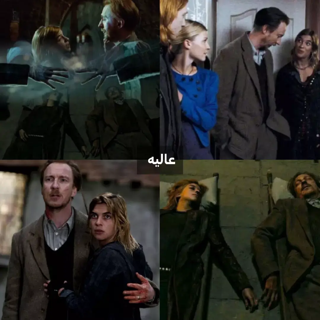 برام مهم نیست تا ابد از جیمز متنفرم میمونم🙏🏻 (به سسدستی هام توجه نکنید)  #severussnape #lilypotter #fyp #slytherin #foryou 