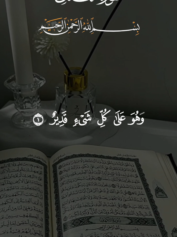 سورة المـلك كاملة 🤍🌷 المنجية من عذاب القبر اقرؤها قبل النوم 💞💞 #قران #quran #تلاوة_خاشعة #لا_إله_إلا_الله_محمد_رسول_الله 