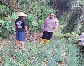 Ketahanan pangan