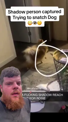 Shadow person caught on camera  #shadowpeople #caughtoncamera #scary #mystery #scary 