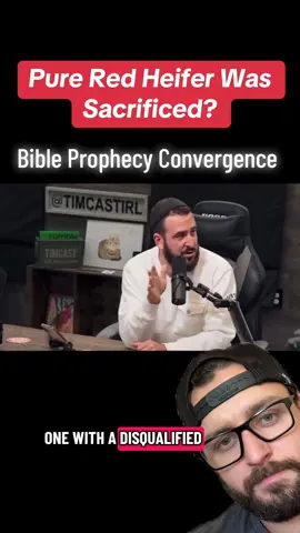 Pure Red Heifer Was Sacrificed? #christian #christiantiktok #endtimes #prophecy 