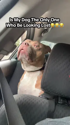 I hope it’s not just Slime🤦🏽‍♂️😂😂 #fyp #funny #repost #slimethepitbull #dogsofttiktok 