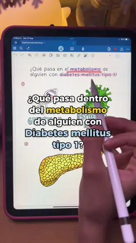 También haré uno de diabetes tipo 2 para comparar :) #nutricion #insulina 