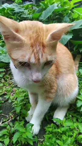 😺😺😺😺