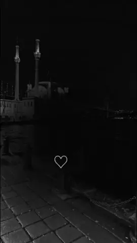 ليـرحـل مـن يشـآء فآلله لآ يبــعـد إلا السـيئين 🖤