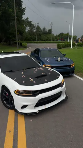 Ki ki ki ki ki ki 🤣 - - - #dodgecharger #dodge #mopar #moparornocar #hemi                     