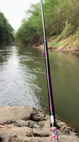 🎣☕️