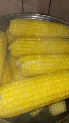 MasyaAllah Soreang tiris kacida 🥶🥶 Alhamdulillah gaduh jagong dadakan kiriman teteh ku @emwal80 cuss langsung dikulub