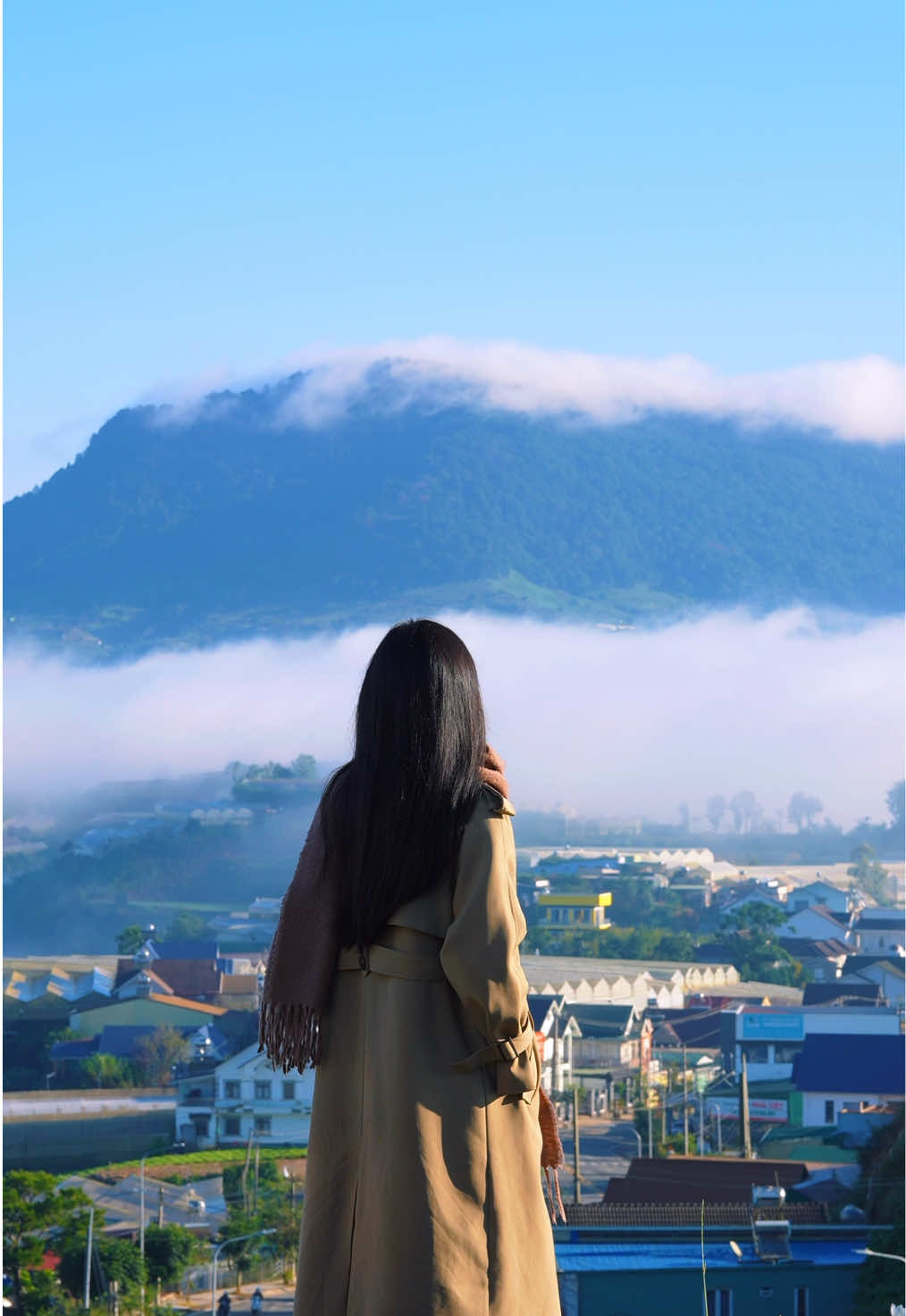 Quán cà phê có chiếc view săn mây siêu chill gần trung tâm thành phố cho những ai ngại đi xa #dalat #chill #sanmaydalat #tiemcaphetavi #dienodalat 