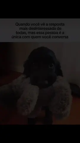 #dog #musica #fypシ゚viral🖤tiktok #fyp #foryoupage 