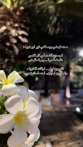 #محمد_عبده #اكسلبور #ترند #الجنوب 