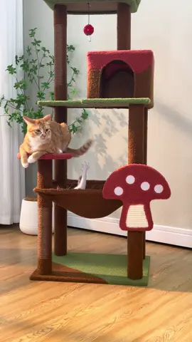 Real cat tesser🤫#cats #catsoftiktok #fyp #cattree #mushroomscattree 