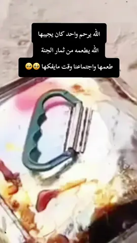 تمرصفري تنك مزارع بيشة الخضراء  #تمر #صفري #الأب #الرحيل 