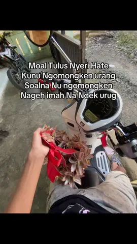 Minimal Mun Hewa imbangan Hela urang eta mah imah Geh ndek Urug  balaga ngomongken hhaha jopppp😂