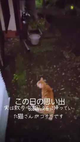 #思い出