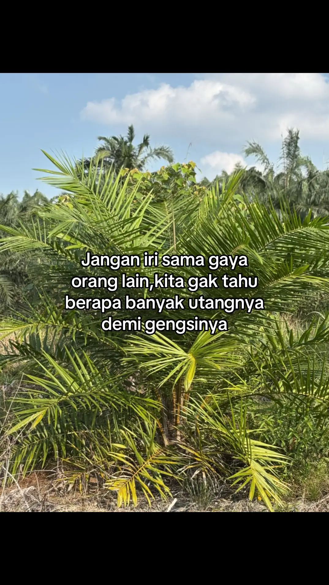 #petanimuda #petanisawit #masukberandafyp 