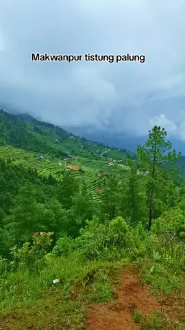 #nepal🇳🇵🇳🇵 #tistungpalung#makwanpur_muser #fyp #loveyou 