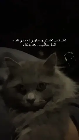 اللهم أرحمها، واغفر لها، وتجاوز عنها، واجعل قبرها روضة من رياض الجنة، واجمعني بها بالفردوس الأعلى من الجنة، وأبدلها داراً خير من دارها، وأهلاً خير من أهلها، وارزقها لذة النظر إلى وجهك الكريم.. #explore #hail #fyp #هيفاء_الصملي #امي 