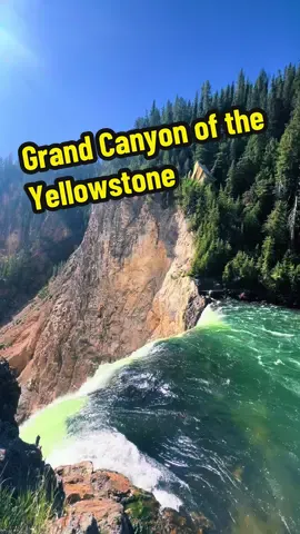 📍Lower Falls at Grand Canyon of the Yellowstone, share the best place you’ve ever been to ⛰️ #fyp #nature  #view #yellowstonenationalpark #water 