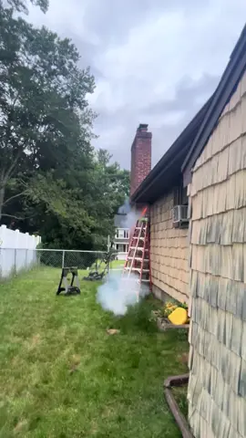 #fyp #fyf #beehiveremoval  #fireworks do not attempt  !part two on my page #amaerica 