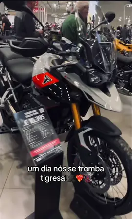 tiger 0km🤩❤️‍🔥 #tiger900 #vaiprofy #explore #moto #viralvideos 