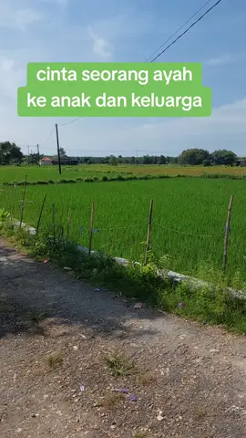 cinta ayah sama anak dan keluarga #cintaayah #anak #keluarga #cinta #fyp 