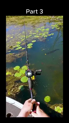 #fishing #bigfish #camping #funny 