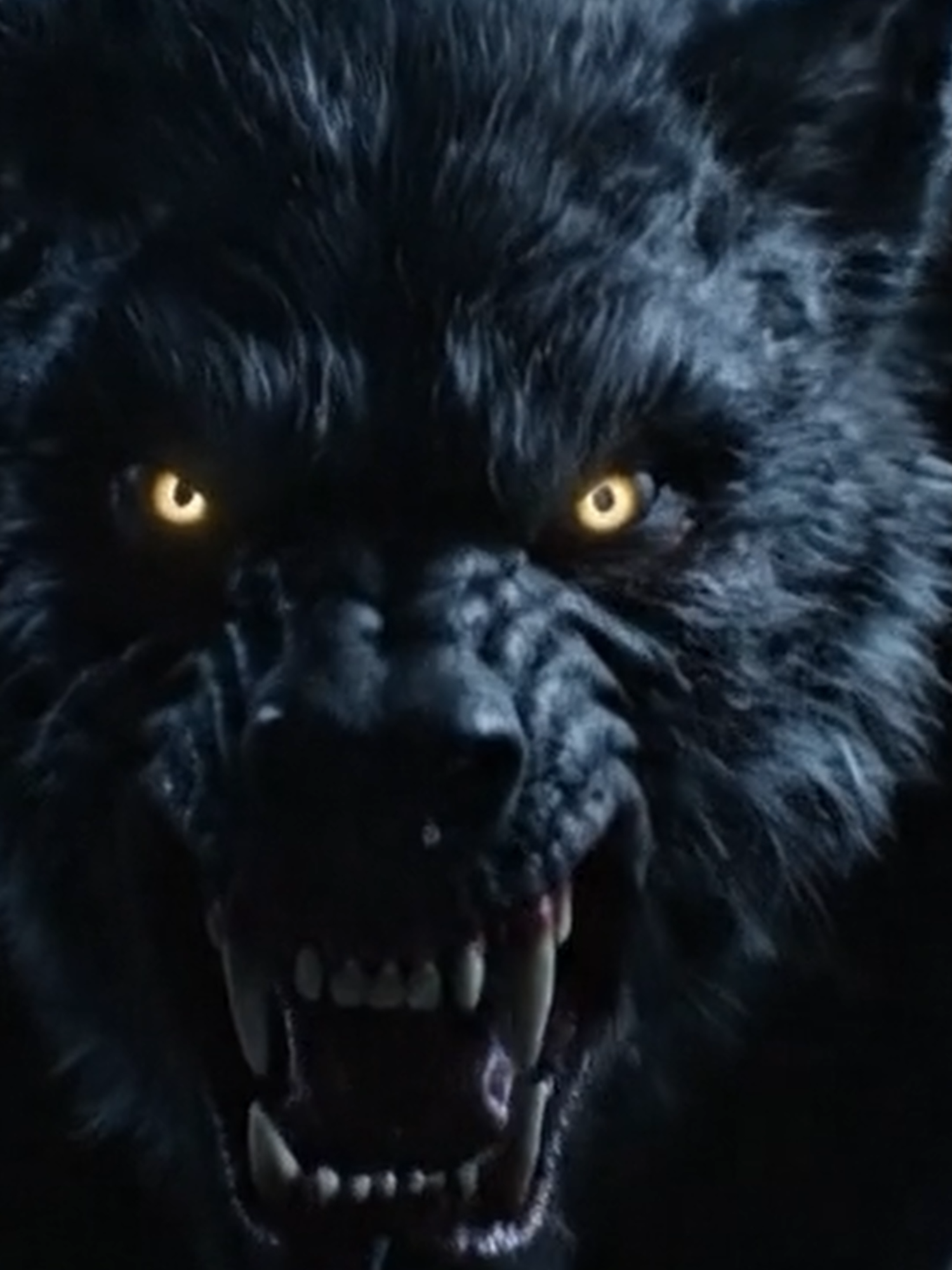 EL Hombre lobo y su Historia  El origen sangriento de los licántropos (desde Licaón en la mitología griega hasta los juicios medievales). 🐺 Casos documentados como Peter Stumpp, el 'Hombre Lobo de Bedburg' que devoró niños en el siglo XVI. 🩸 ¿Existen hoy? La ciencia tras la 'licantropía clínica' y los extraños casos modernos. 📌 ¿Crees que estos seres son solo mitos... o algo más? 👇 ¡Déjame tu teoría en los comentarios! 👇 #HombreLobo #LeyendasUrbanas #TerrorReal #Mitología #MisteriosSinResolver #DocumentalTerror #Licántropo #HistoriasDeTerror