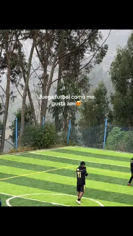 @vidal Silva mendoza 