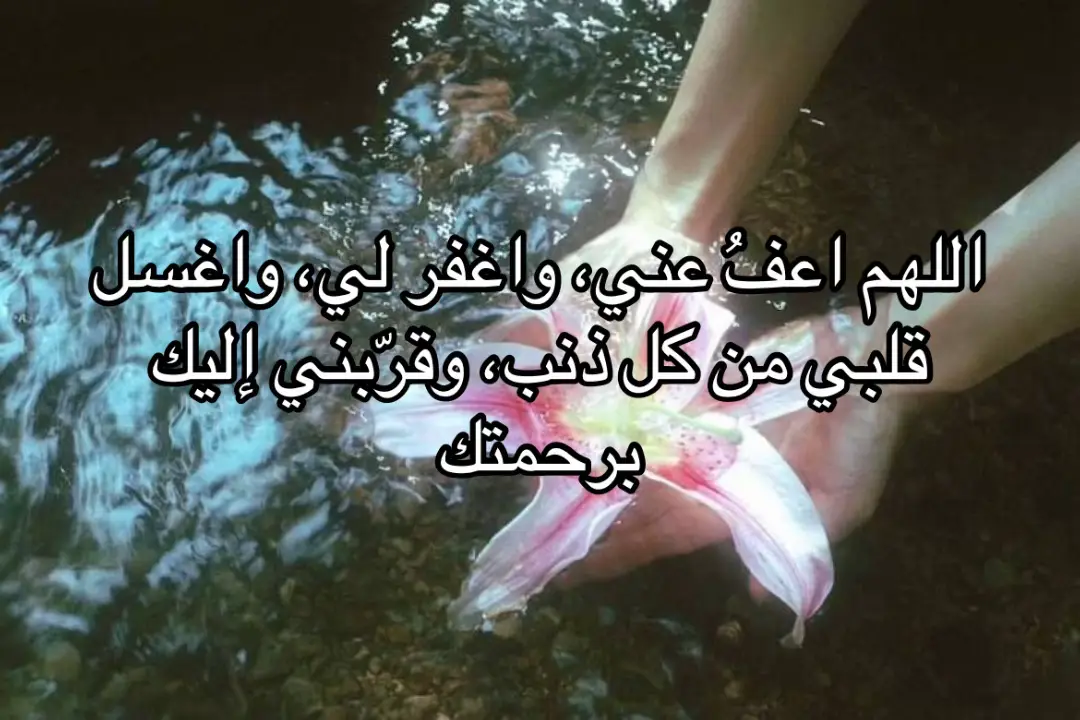 #استغفرالله_واتوب_اليه_من_كل_ذنب_عظيم #لااله_الا_انت_سبحانك_اني_كنت_من_ظالمين #سبحان_الله_وبحمده_سبحان_الله_العظيم 