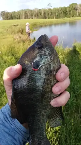 GOOD FISHING IN A HONEY HOLE BUTTERBEAN F.T.W.