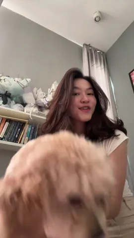 bisty jd kyk curut :((