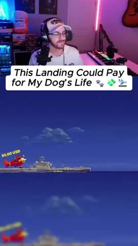 Please for my dog  #dog #pet #plane #planegame #avia 