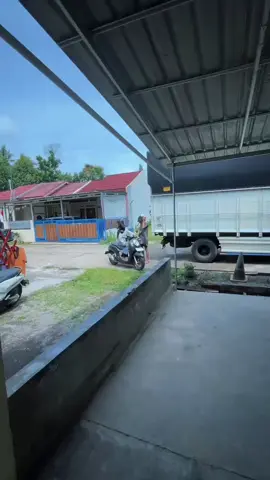 umak ulales#trukindonesia #priakekeselen 