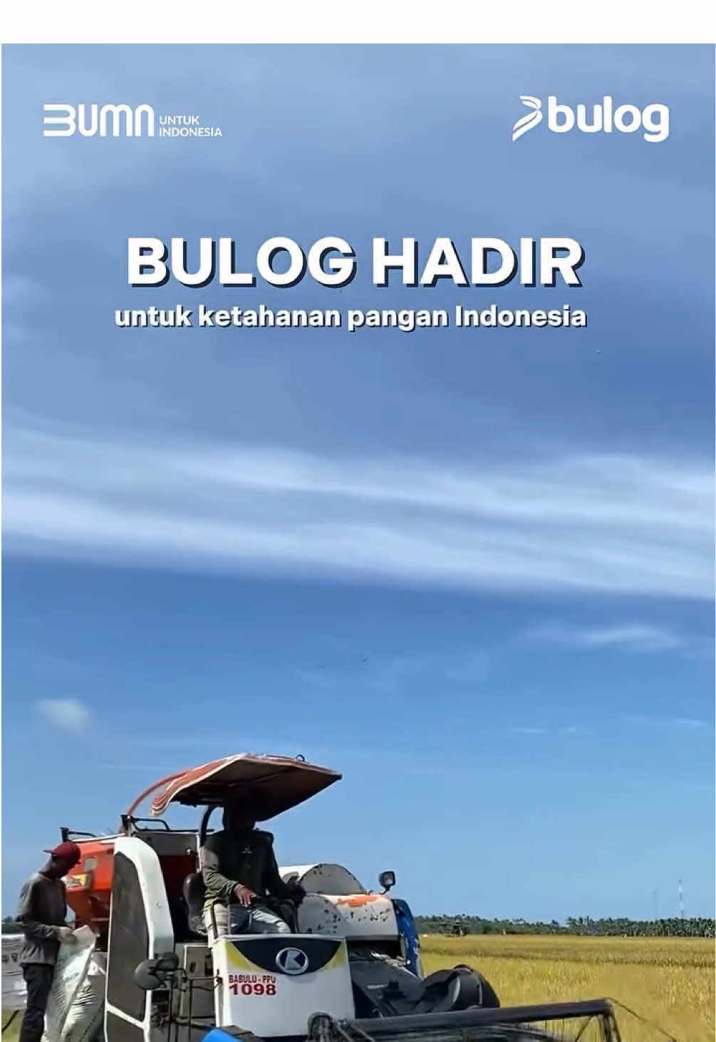 BULOG HADIR UNTUK KETAHANAN PANGAN INDONESIA 🇮🇩🌾 Rabu, 30 Juli 2025 Pemimpin Wilayah Perum BULOG Kanwil Kaltim dan Kaltara, melakukan peninjauan langsung ke lokasi penyerapan gabah petani di Desa Saloloang, Kec. Penajam, Kab. PPU @Perum BULOG  @PRABOWO SUBIANTO  @PCO RI  @kementanri  @KEMENTERIAN BUMN RI  #BULOG #BULOGhadir #PemerintahHadir #BULOGSahabatPetani #BULOGSerapGabah