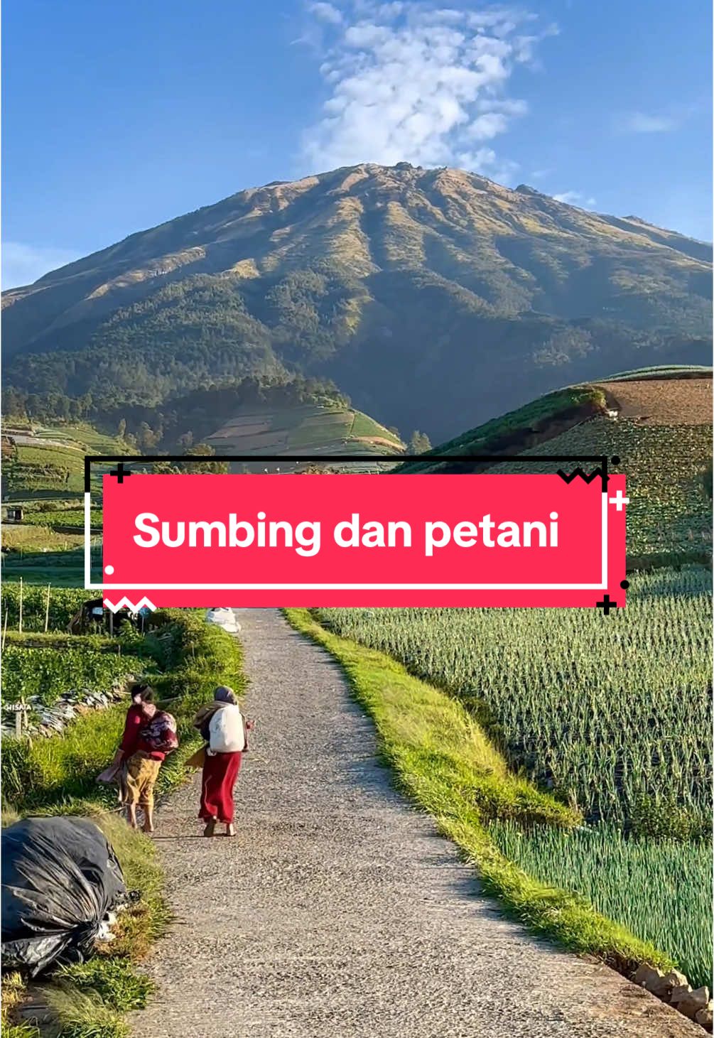 Sampaikan komentarnya kawan 😍🥰👏  #fypシ゚viral🖤tiktok #alamindonesia #pesonaindonesia #wonderfullindonesia #keindahanindonesia #morningvibes #petaniindonesia🇮🇩🇮🇩🇮🇩🌿🌿 