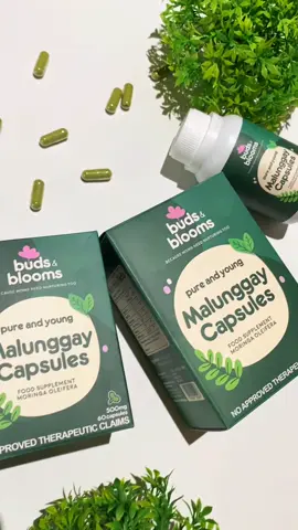 Because your breastfeeding journey deserves a glow-up ✨ Buds & Blooms Pure & Young Malunggay Capsules got a fresh new look! Still packed with pure malunggay goodness, in 60s & 100s 🌿 Check out now! #tinybudsbaby #budsandblooms 