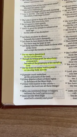 Lamentations 3:31-33 🤍 #bibleverse 